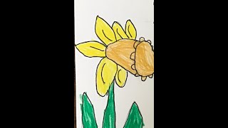 Draw along Daffodil