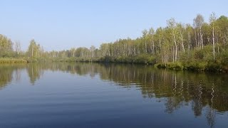 Со спиннингом на озере Линёвом