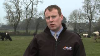 GAIN  Ruminant Feeds - Develop A Healthy Rumen - Maximise Growth Rates