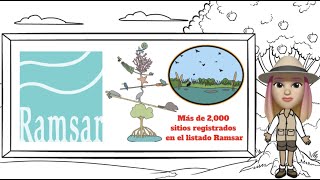 Humedales: ecosistemas esenciales para la humanidad