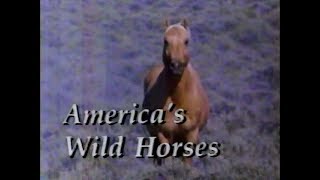 America's Wild Horses (1987)