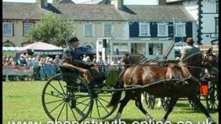 Horses & Ponies at Aberaeron Show