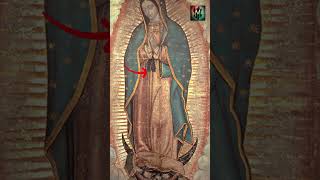 Why is Our Lady of Guadalupe patroness of the unborn #ourladyofguadalupe   #saintjuandiego