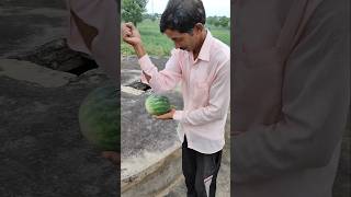 Local Fruit राजस्थानी मतीरो 🍈🍉