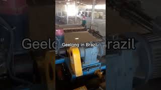 Geelong- High speed spindleless veneer peeling machine