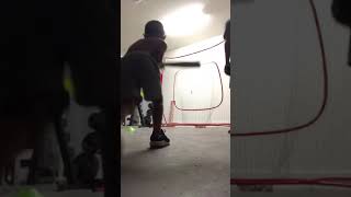 4 Y/O baseball garage swings