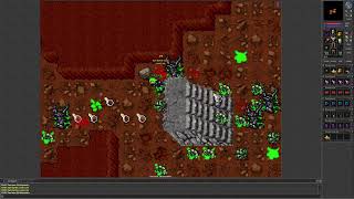 Tibia 7.6 (Level 65 Master Sorcerer hunts Ancient Scarabs in Ankrahmun to test XP/hour)