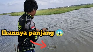 Mancing Ikan Keting Di Rawa Tangerang Dapat Sidat