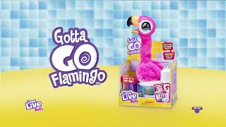 Little Live Pets | Gotta Go Flamingo | TVC 30