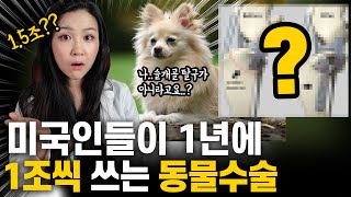 수의사가 말하는 수의사가 놓치는 진단 1위,  미국에서 가장 많이 하는 수술  ㅣ 십자인대 단열의 모든것 ㅣ 당신의 개는 슬개골 탈구가 아닐 수 있습니다 (to.수의대생들)