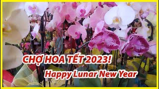 CHỢ HOA TẾT 2023 Phước Lộc Thọ  (Xuân Quý Mão)  | Happy Lunar New Year 2023