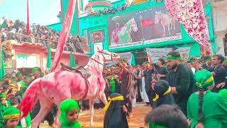 8 Moharram Manzar Kashi Naugawan Sadat