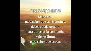 UN SABIO DIJO 👌 Debes caer para saber que es levantarse, debes quedarte solo  para apreciar...