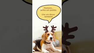 Quando tudo termina em barraco! #dog #fantasia #Natal #shopee