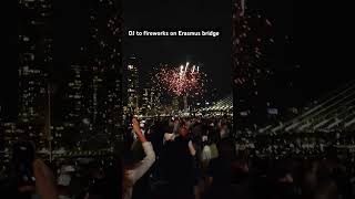 Erasmus bridge fireworks on world port days event 2024