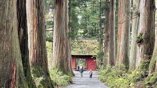 【VLOG : TOUR DU JAPON】LA SOURCE DE l'ÉNERGIE SPIRITUELLE : TOGAKUSHI