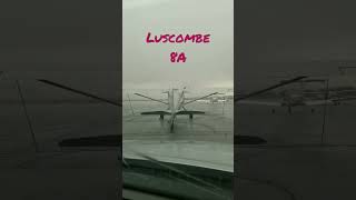 Luscombe 8A #aircraft #shorts #nature