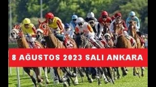 8 AĞUSTOS 2023 SALI ANKARA AT YARIŞI TAHMİNLERİ VE YORUMLARI