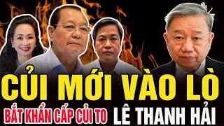 Củi Mới Vào Lò : ÔNG LÊ THANH HẢI TRỞ THÀNH “LÒ CỦI TO NHẤT MIỀN NAM” - Liệu Có Bị Khởi Tố