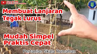 CARA MEMBUAT LANJARAN TEGAK LURUS DENGAN TALI UNTUK SAYURAN