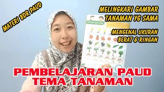 Video Pembelajaran Paud Tema Tanaman | Melingkari Gambar yg Sama | Mengenal Ukuran Berat dan Ringan