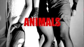 ANIMALS closing party [teaser] 301_Mr_No_Br@in