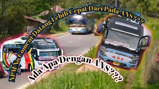 Bus NPM Kali Ini Masuk Pertama Dari Rantau!!! Bus ANS Oleng Oleng Tipis masuk dari rantau....