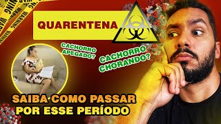 QUARENTENA: Saiba como passar esse período sem estragar o seu relacionamento com seu cachorro