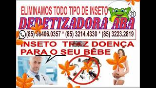 DEDETIZAÇÃO COM FUMACE NA SABIAGUABA (85) 3214.4330