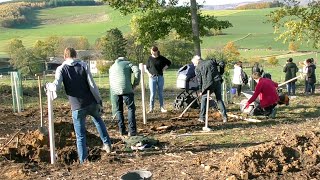 29 Bäume für Neugeborene in der Stadt gepflanzt (Mellen)