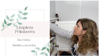 Limpieza profunda Primavera 🌷Salón muebles