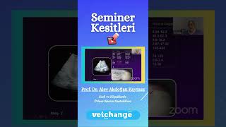 E - Seminer kesitleri #vetchange #veterinerhekim #veterinarymedicine #seminer