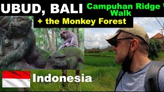 The Monkey Forest and Campuhan Ridge Walk, UBUD, BALI