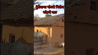 Chaudhari Village Kothari Dang#Short#youtubeshorts