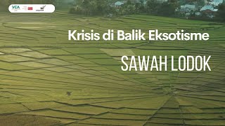 Krisis Di Balik Eksotisme Sawah Lodok