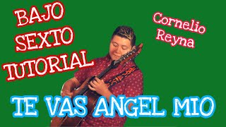 Te Vas Angel Mio - Cornelio Reyna (TABS Bajo Sexto Tutorial)