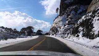 Pino Hachado 4K - desde la ruta