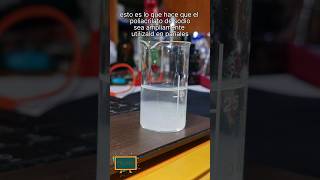 La magia absorbente del poliacrilato de sodio #química