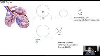 EtCO2 should be the 6th vital sign