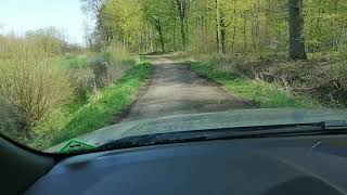 Waldfahrt mit Pfützen - Ford Ranger Raptor