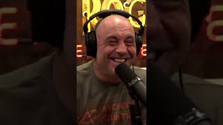 Theo Leaves Joe in Stitches With Man Purse Punchline | JRE