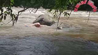 Menangkap ikan dengan tangan kosong dan menjala ikan, langsung di eksekusi di tempat