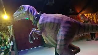 The dinosaurs show