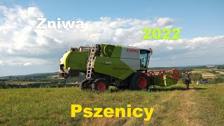 Żniwa 2022 ✔Claas w akcji ✔ Claas Tucano 320 ✔ Pszenica pod kosę ✔