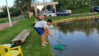 Todos os pescadores correrão para ver esse peixe.