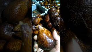 Salak Pondoh Banjarnegara Fres siap di order #shorts