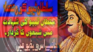 Who Was Tipu Sultan?