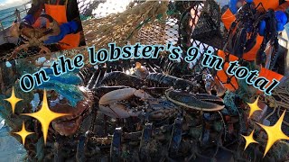 Lobster Fishing