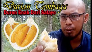 Belah Durian Tembaga!! Primadona Dari Sumatera Barat.