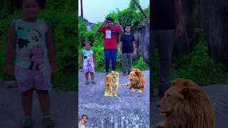 #funny #comedy #vfx #duet #mistihappylifestyle #shortvideo #trending #shortsfeed #abcvlog #tiger